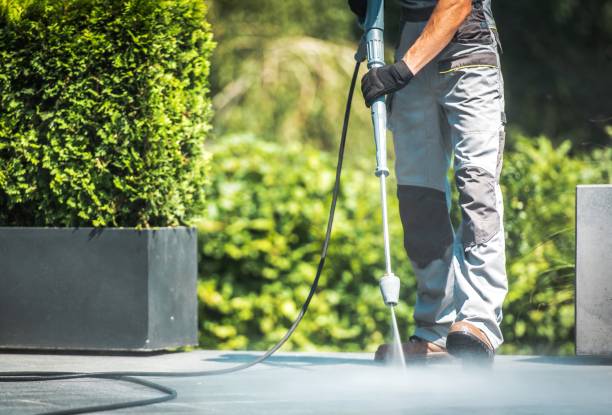 Professional Pressure Washing in Clearlake, CA